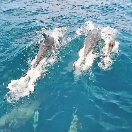 Villa Algharif By Algarve Vacation Villa *