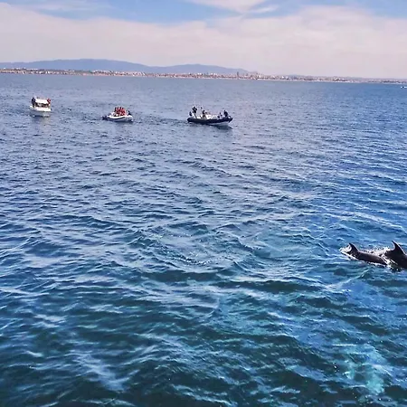 Algharif By Algarve Vacation Villa