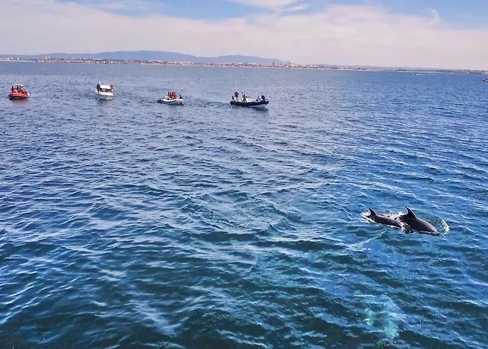 Algharif By Algarve Vacation فيلة